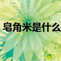 皂角米是什么东西长的（皂角米是什么东西）