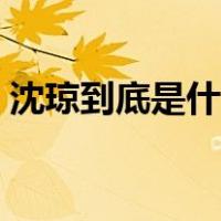 沈琼到底是什么身份（沈琼到底是什么身份）