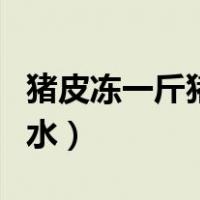 猪皮冻一斤猪皮几斤水（猪皮冻一斤皮兑几斤水）