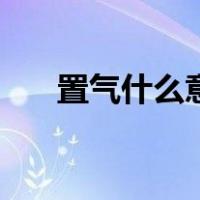 置气什么意思是什么（置气什么意思）