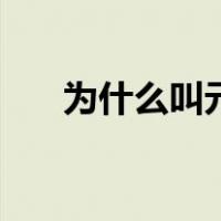 为什么叫元气森林（为什么叫具结书）