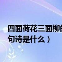 四面荷花三面柳的下一句诗是什么（四面荷花三面柳的下一句诗是什么）