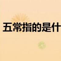 五常指的是什么由谁提出（五常指的是什么）