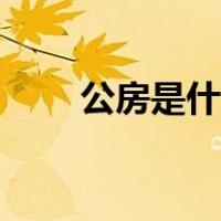 公房是什么意思（公房是什么意思）