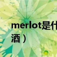 merlot是什么红酒2019（merlot是什么红酒）