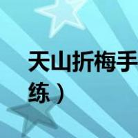 天山折梅手vs天山六阳掌（天山折梅手怎么练）