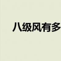 八级风有多大威力（八级风有多大威力）