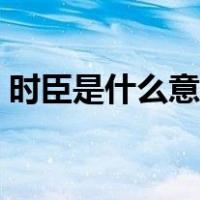 时臣是什么意思（都是时臣的错是什么意思）