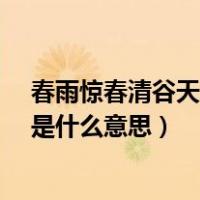 春雨惊春清谷天的天是什么意思?（春雨惊春清谷天的意思是什么意思）