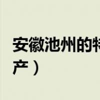 安徽池州的特产有哪些（池州特产都有什么特产）