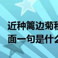 近种篱边菊秋天未著花的意思（近种篱边菊后面一句是什么）