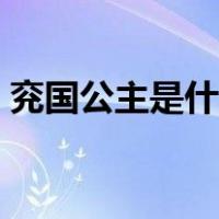兖国公主是什么意思（兖国公主是什么意思）