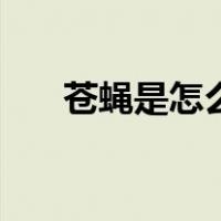 苍蝇是怎么吃东西的（苍蝇是害虫吗）