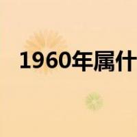 1960年属什么生肖（1958年属什么生肖）