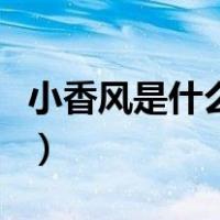 小香风是什么时候流行的（小香风是什么意思）