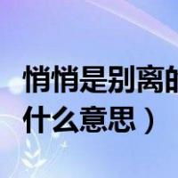 悄悄是别离的笙箫啥意思（悄悄是别离的笙箫什么意思）