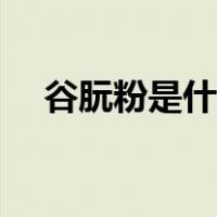 谷朊粉是什么东西做的（谷朊粉是什么）