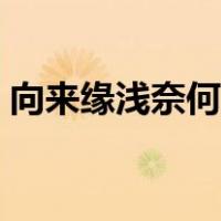 向来缘浅奈何情深小说（向来缘浅奈何情深）