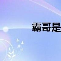 霸哥是什么梗（霸哥是什么梗）