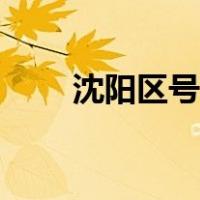 沈阳区号多少啊（沈阳区号是多少）