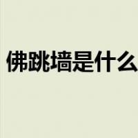 佛跳墙是什么菜价格是多少（佛跳墙是什么）