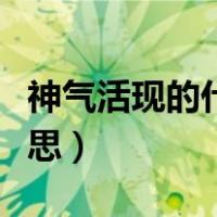 神气活现的什么意思（神气活现的现是什么意思）