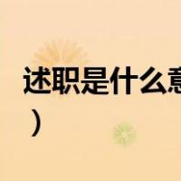 述职是什么意思应该怎么写（述职是什么意思）