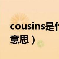 cousins是什么意思怎么读（cousins是什么意思）