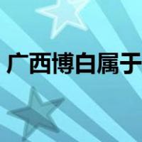 广西博白属于哪里（广西博白属于哪个市区）