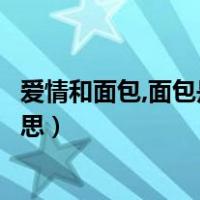 爱情和面包,面包是什么意思（爱情和面包中的面包是什么意思）