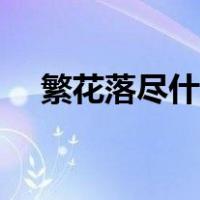 繁花落尽什么意思（繁花落尽什么意思）