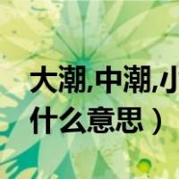 大潮,中潮,小潮是什么意思（小潮中潮大潮是什么意思）
