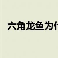 六角龙鱼为什么不能养（六角龙鱼怎么养）