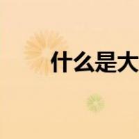 什么是大开间户型（什么是大开间）