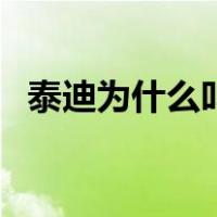 泰迪为什么叫流氓狗（泰迪为什么要断尾）