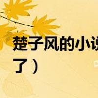 楚子风的小说（主角叫楚子风那本小说叫什么了）