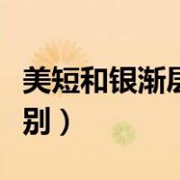 美短和银渐层哪个掉毛少（美短和银渐层的区别）