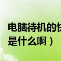 电脑待机的快捷键是什么（电脑待机的快捷键是什么啊）