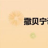 撒贝宁说自己是芳心纵火哪一期