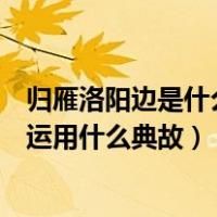 归雁洛阳边是什么意思表达了诗人怎样的情感（归雁洛阳边运用什么典故）