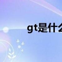 gt是什么车图片（gt是什么车型）