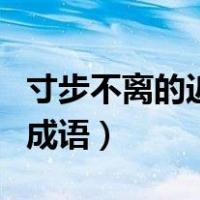寸步不离的近义词反义词（寸步不离的近义词成语）