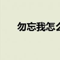 勿忘我怎么雕刻（勿忘我怎么做干花）