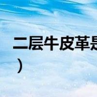 二层牛皮革是不是真皮（二层牛皮革是真皮吗）