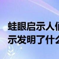 蛙眼启示人们发明了什么（人类受到蛙眼的启示发明了什么）