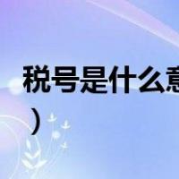 税号是什么意思应该填什么（税号是什么意思）