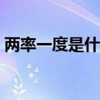 两率一度是什么意思（两率一度是什么意思）