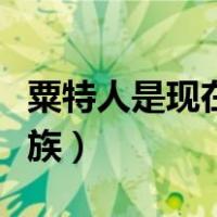 粟特人是现在什么民族（粟特人是现在什么民族）