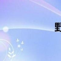 野猪是几级保护动物