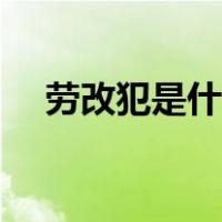 劳改犯是什么意思（劳改犯是什么意思）
